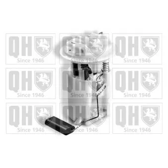 Unité d'injection de carburant QUINTON HAZELL QFP907
