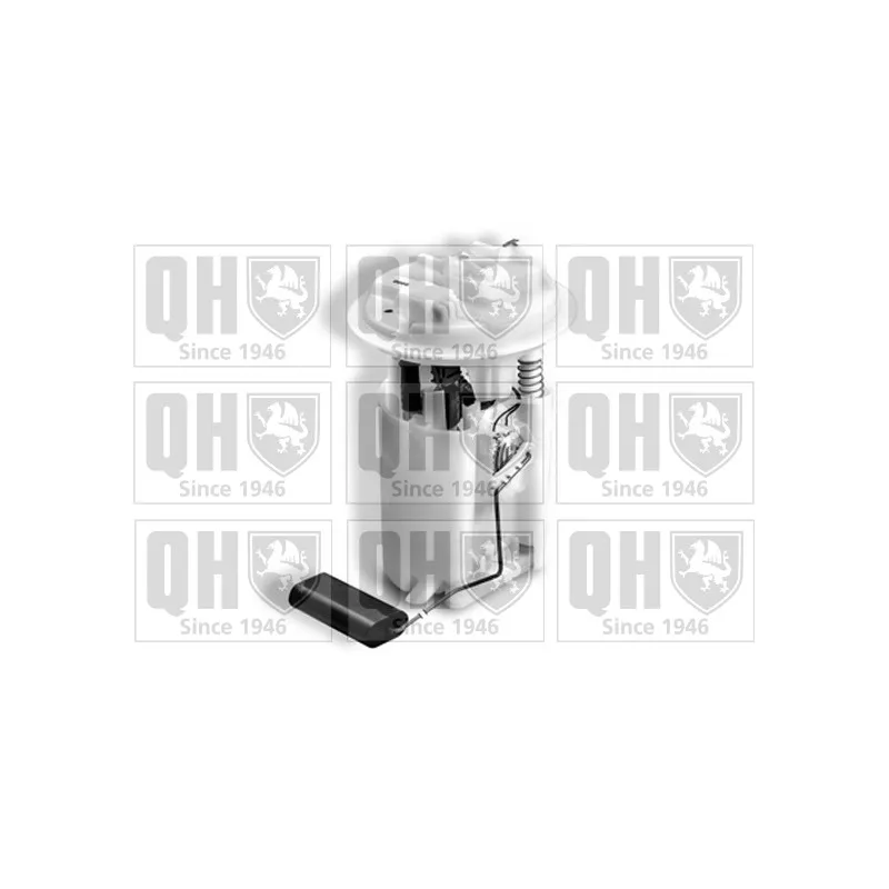 Unité d'injection de carburant QUINTON HAZELL QFP907