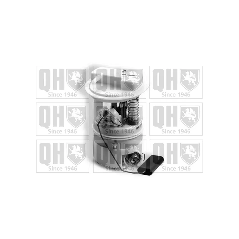 Unité d'injection de carburant QUINTON HAZELL QFP909