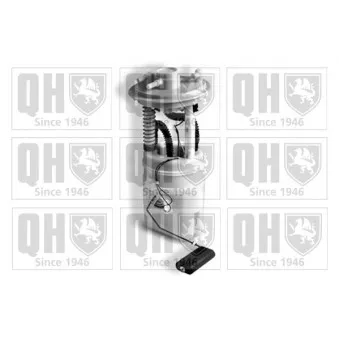 Unité d'injection de carburant QUINTON HAZELL QFP910