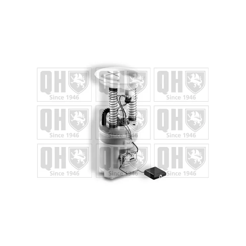 Unité d'injection de carburant QUINTON HAZELL QFP911