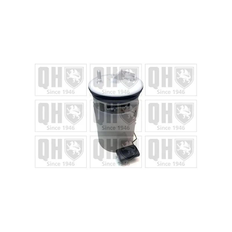 Unité d'injection de carburant QUINTON HAZELL QFP925