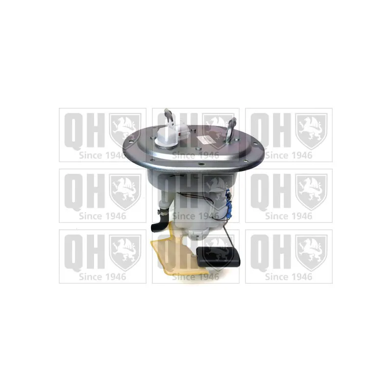 Unité d'injection de carburant QUINTON HAZELL QFP926