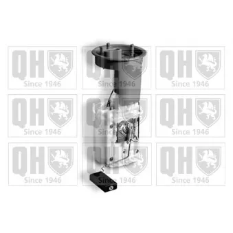 Unité d'injection de carburant QUINTON HAZELL QFP927