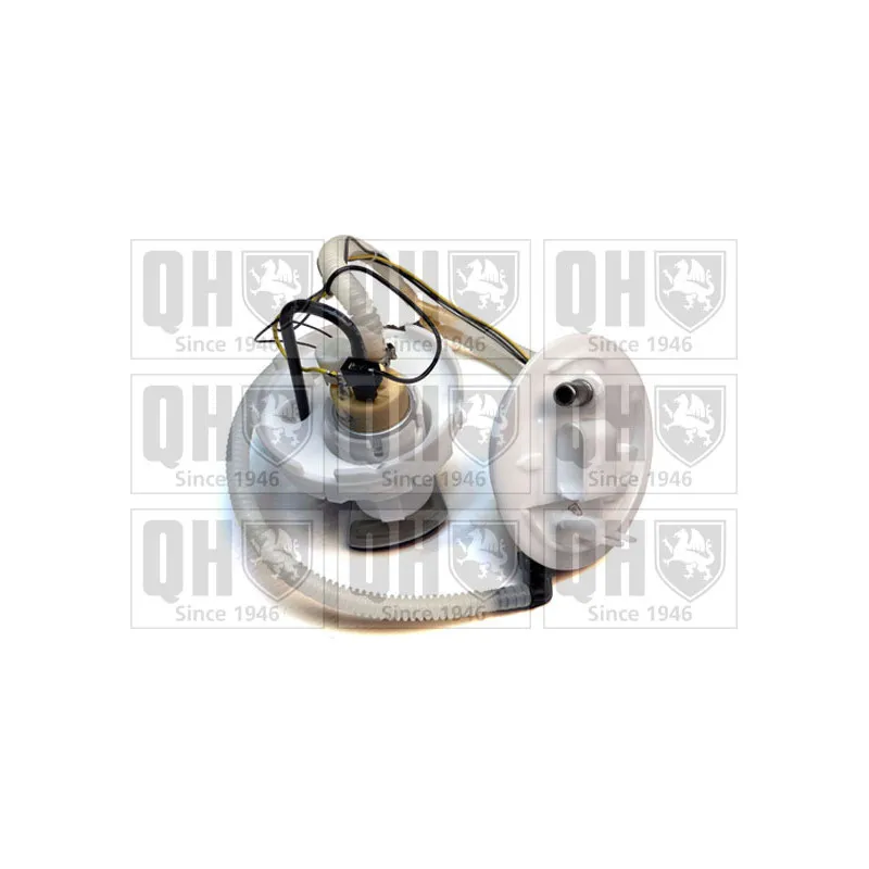 Unité d'injection de carburant QUINTON HAZELL QFP928