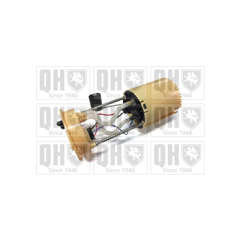 Unité d'injection de carburant QUINTON HAZELL QFP939