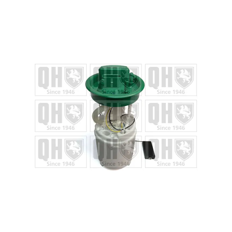 Unité d'injection de carburant QUINTON HAZELL QFP942