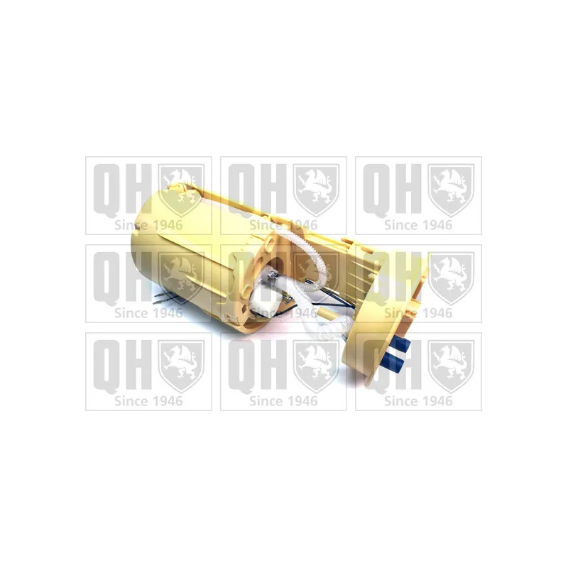 Unité d'injection de carburant QUINTON HAZELL QFP943