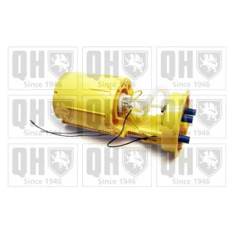 Unité d'injection de carburant QUINTON HAZELL QFP944