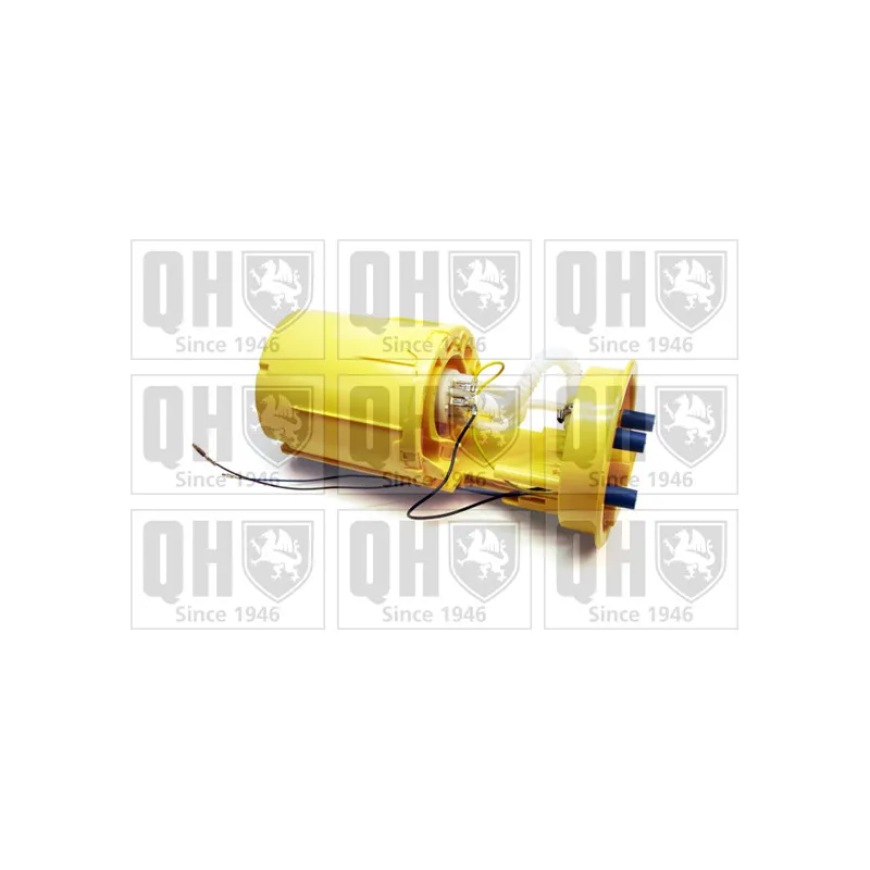 Unité d'injection de carburant QUINTON HAZELL QFP944