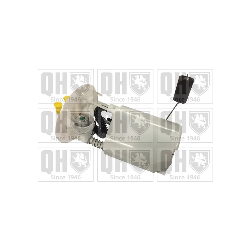 Unité d'injection de carburant QUINTON HAZELL QFP961