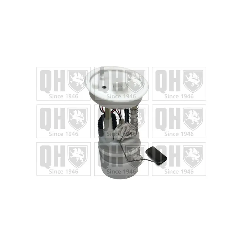 Unité d'injection de carburant QUINTON HAZELL QFP962