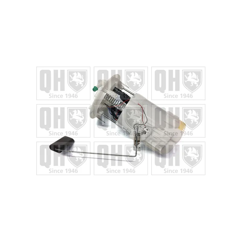 Unité d'injection de carburant QUINTON HAZELL QFP981