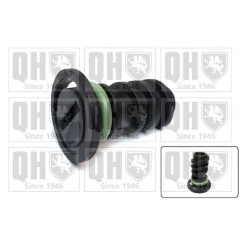 Vis-bouchon, carter d'huile QUINTON HAZELL QOC1013