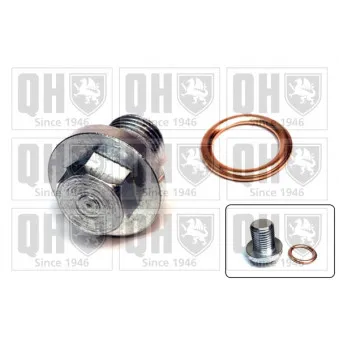 Vis-bouchon, carter d'huile QUINTON HAZELL QOC1025
