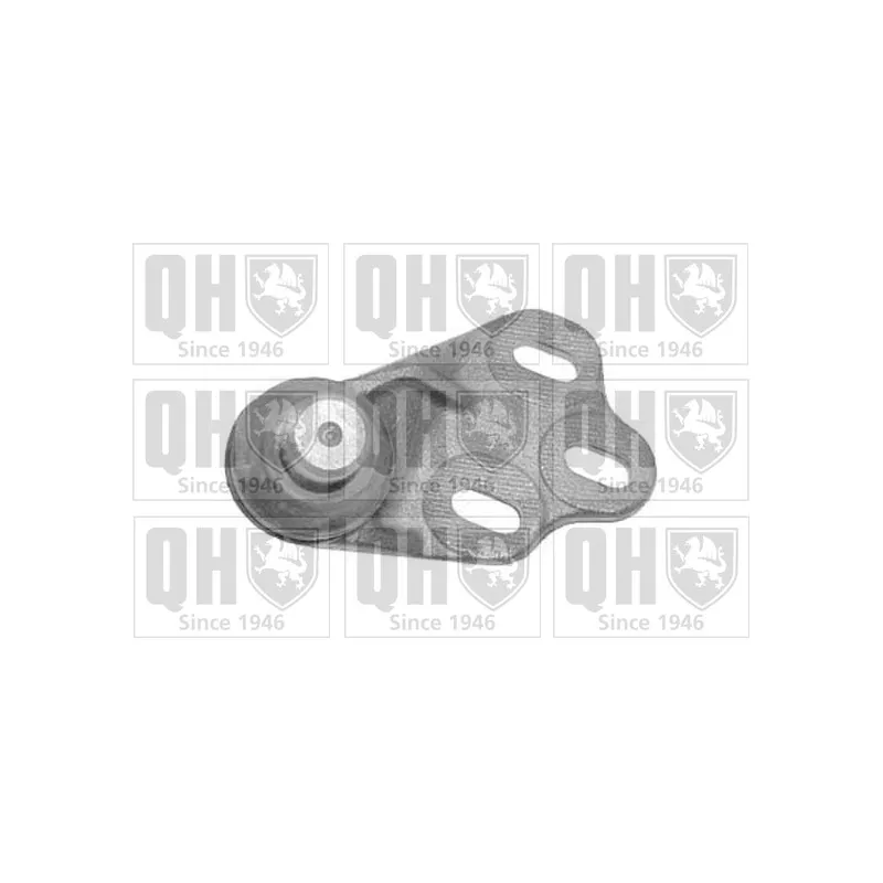 Rotule de suspension QUINTON HAZELL QSJ1071S