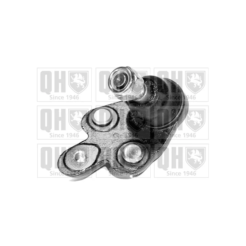 Rotule de suspension QUINTON HAZELL QSJ1131S