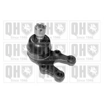 Rotule de suspension QUINTON HAZELL QSJ1310S