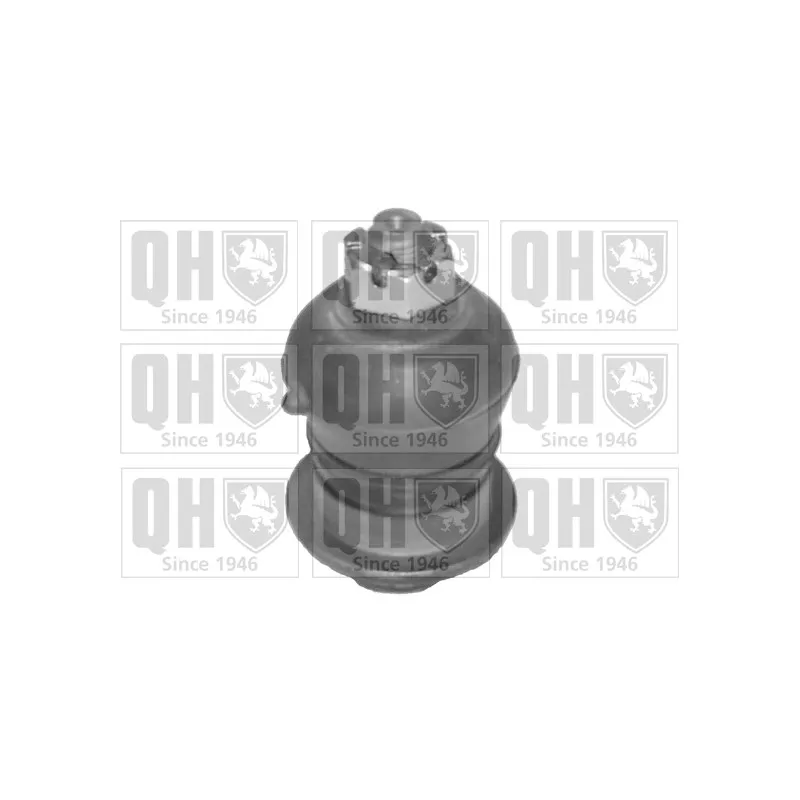 Rotule de suspension QUINTON HAZELL QSJ1794S