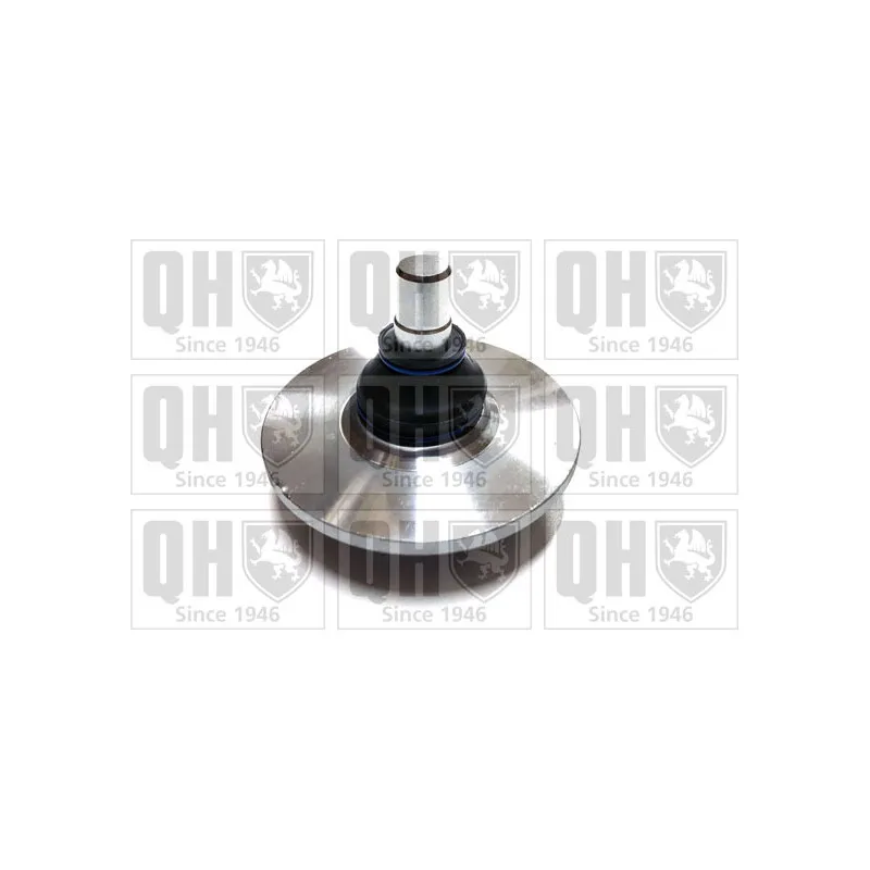 Rotule de suspension QUINTON HAZELL QSJ1875S