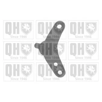 Rotule de suspension QUINTON HAZELL QSJ3276S