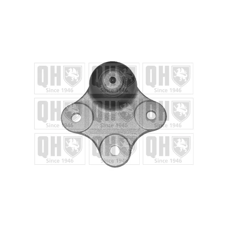 Rotule de suspension QUINTON HAZELL QSJ3393S