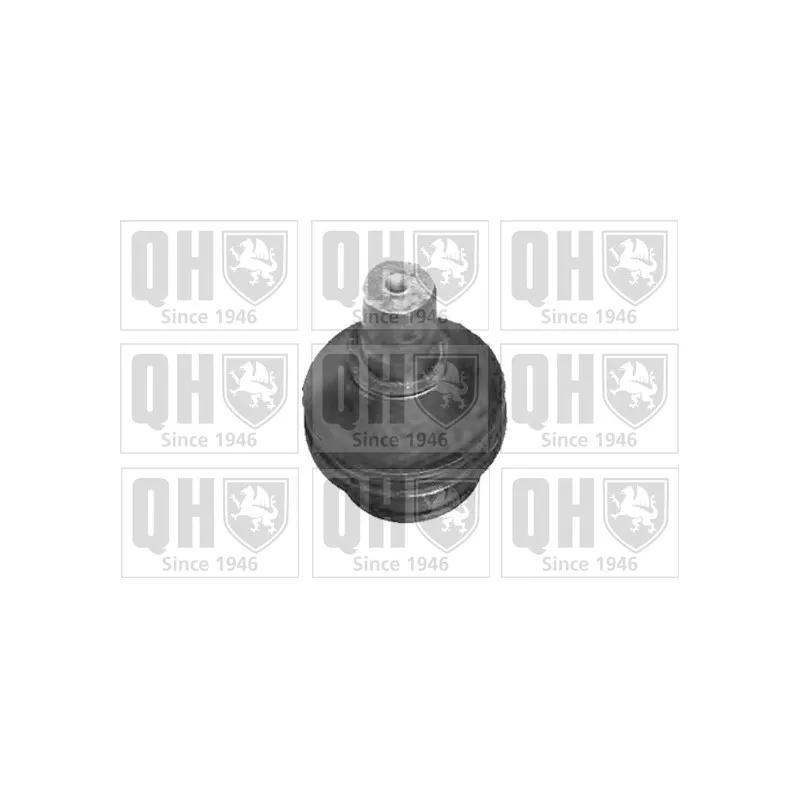 Rotule de suspension QUINTON HAZELL QSJ3467S