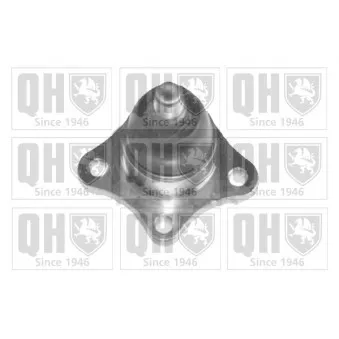 Rotule de suspension QUINTON HAZELL