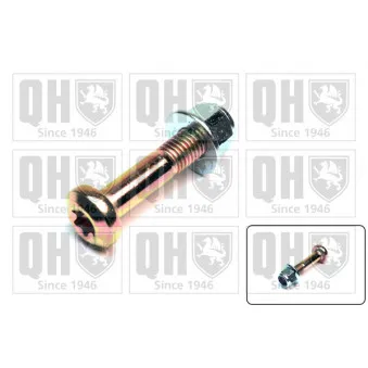 Vis de serrage, suspension articulée/rotule de suspension QUINTON HAZELL QSK225S