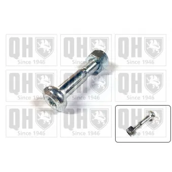 Vis de serrage, suspension articulée/rotule de suspension QUINTON HAZELL QSK226S