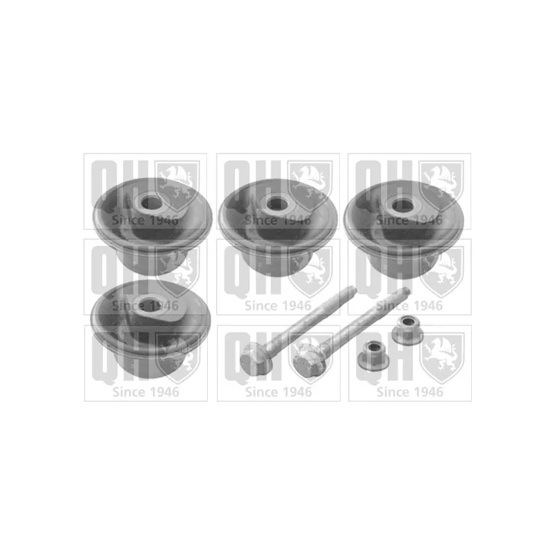Kit de réparation, corps de l'essieu QUINTON HAZELL QSK234S