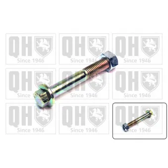 Boulon de fixation, bras transversal QUINTON HAZELL