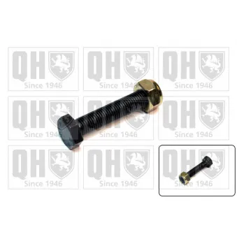 Kit de réparation, corps de l'essieu QUINTON HAZELL QSK271S