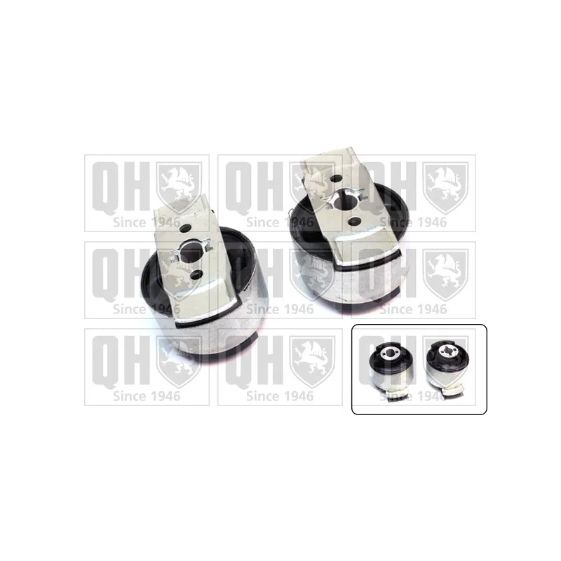 Kit de réparation, corps de l'essieu QUINTON HAZELL QSK273S