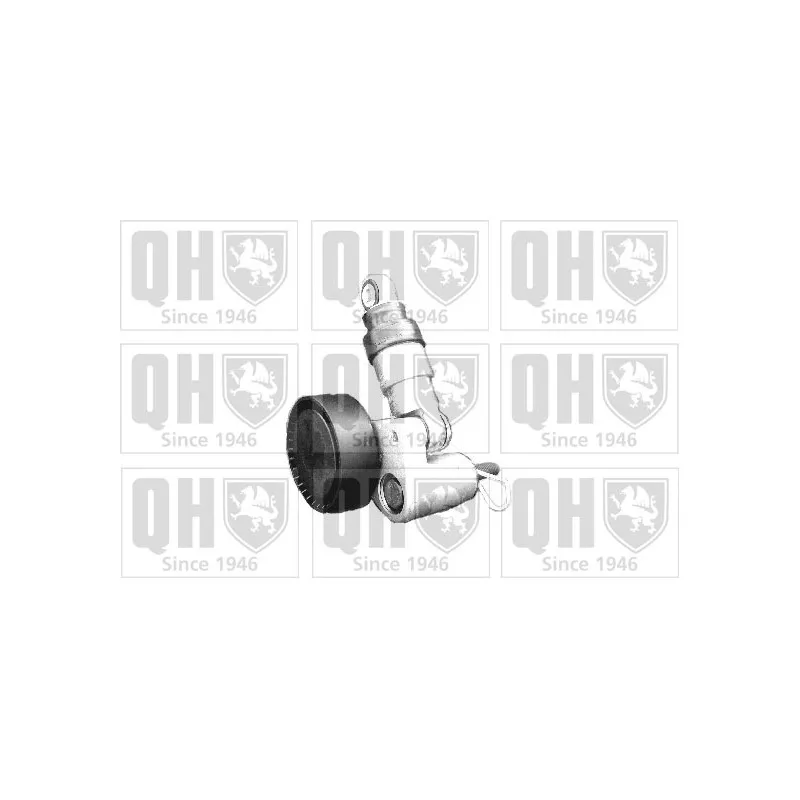 Tendeur de courroie, courroie trapézoïdale à nervures QUINTON HAZELL QTA1084