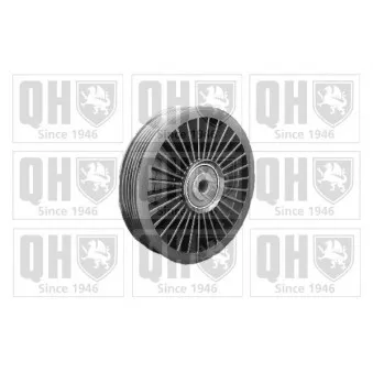 Poulie renvoi/transmission, courroie trapézoïdale à nervures QUINTON HAZELL QTA1090