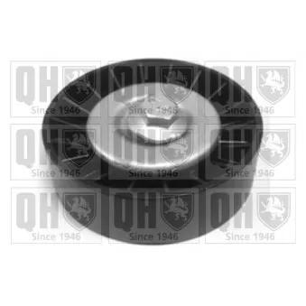 Poulie renvoi/transmission, courroie trapézoïdale à nervures QUINTON HAZELL