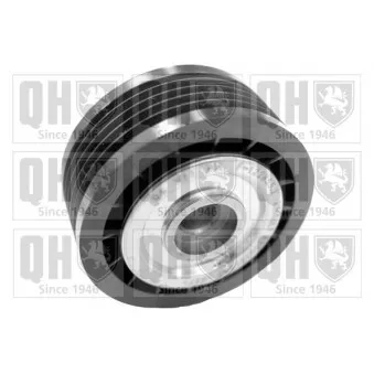 Poulie renvoi/transmission, courroie trapézoïdale à nervures QUINTON HAZELL QTA1368