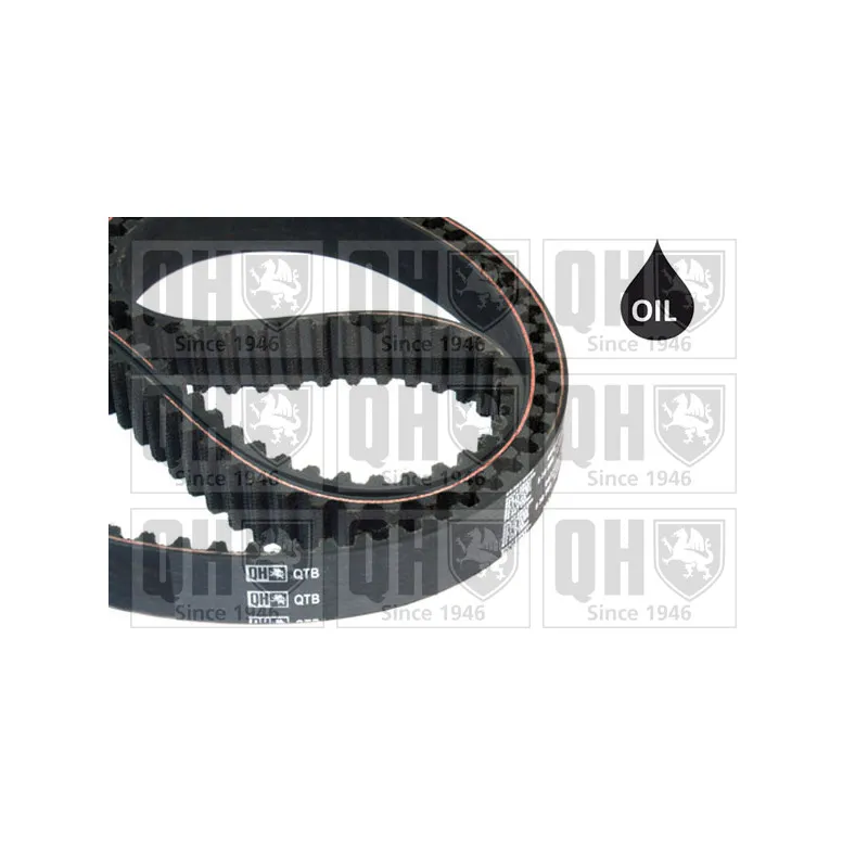 Courroie crantée QUINTON HAZELL QTB809