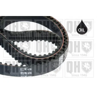 Courroie de distribution QUINTON HAZELL QTB815