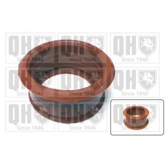 Gaine de suralimentation QUINTON HAZELL QTG1000