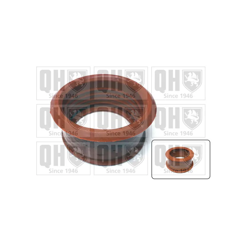 Gaine de suralimentation QUINTON HAZELL QTG1000
