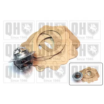 Thermostat d'eau QUINTON HAZELL QTH100K