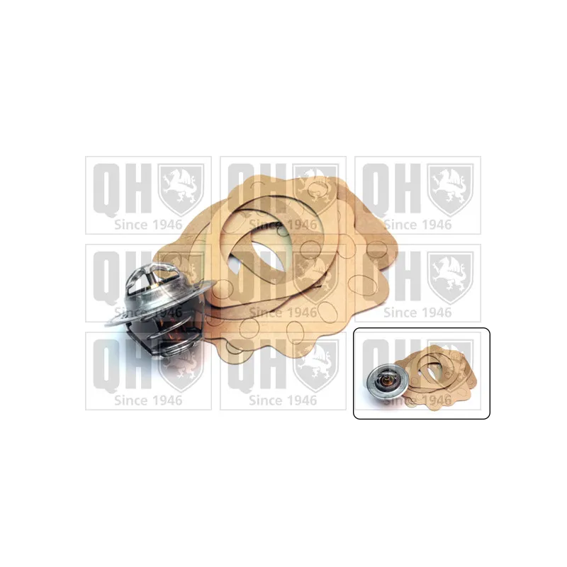 Thermostat d'eau QUINTON HAZELL QTH100K