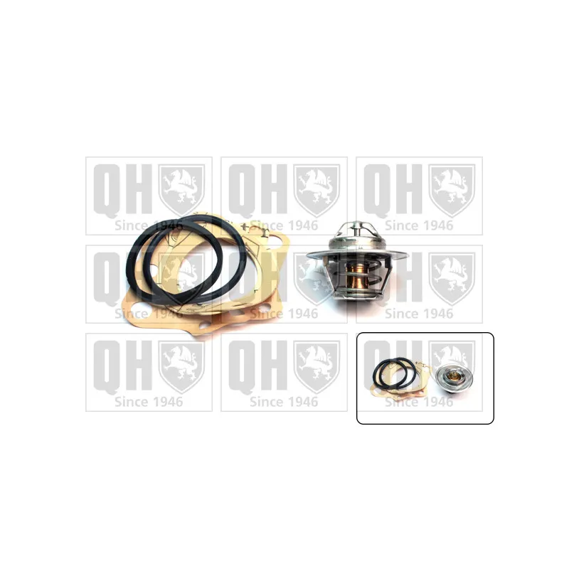 Thermostat d'eau QUINTON HAZELL QTH101K