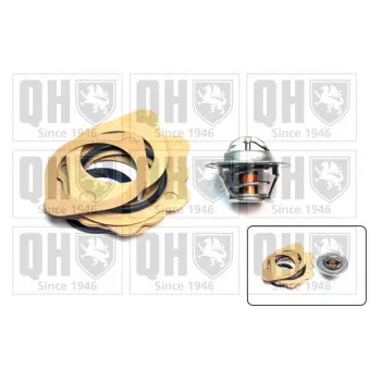 Thermostat d'eau QUINTON HAZELL QTH102K