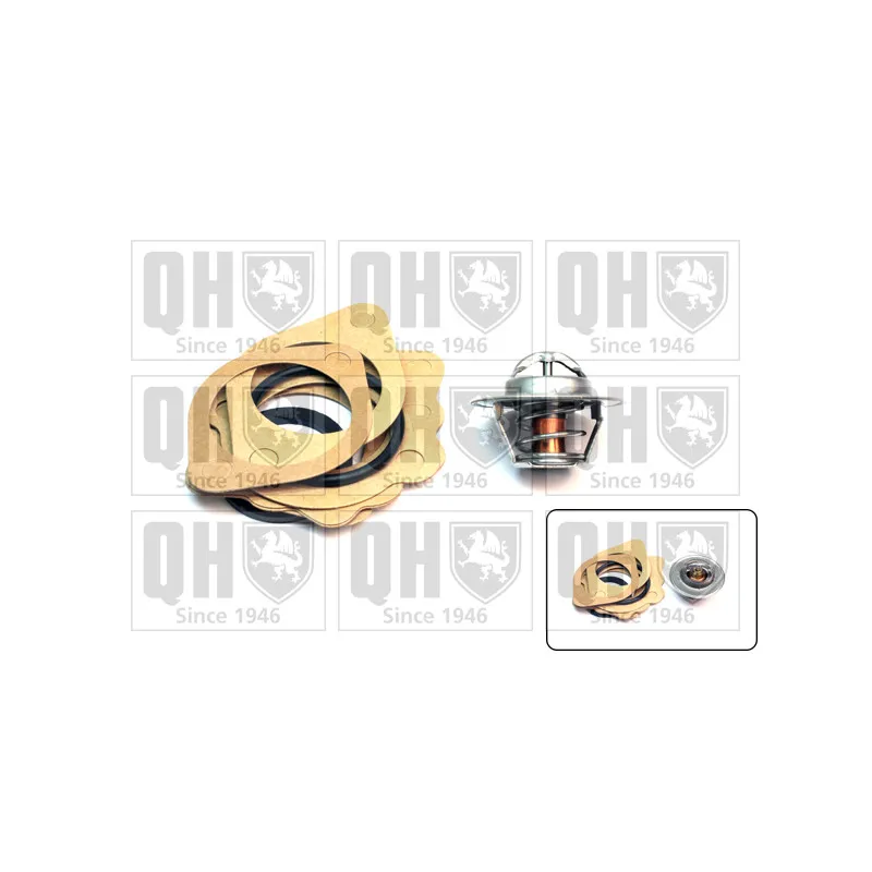 Thermostat d'eau QUINTON HAZELL QTH102K