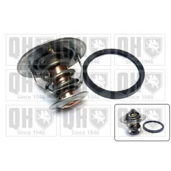 Thermostat d'eau QUINTON HAZELL QTH104K