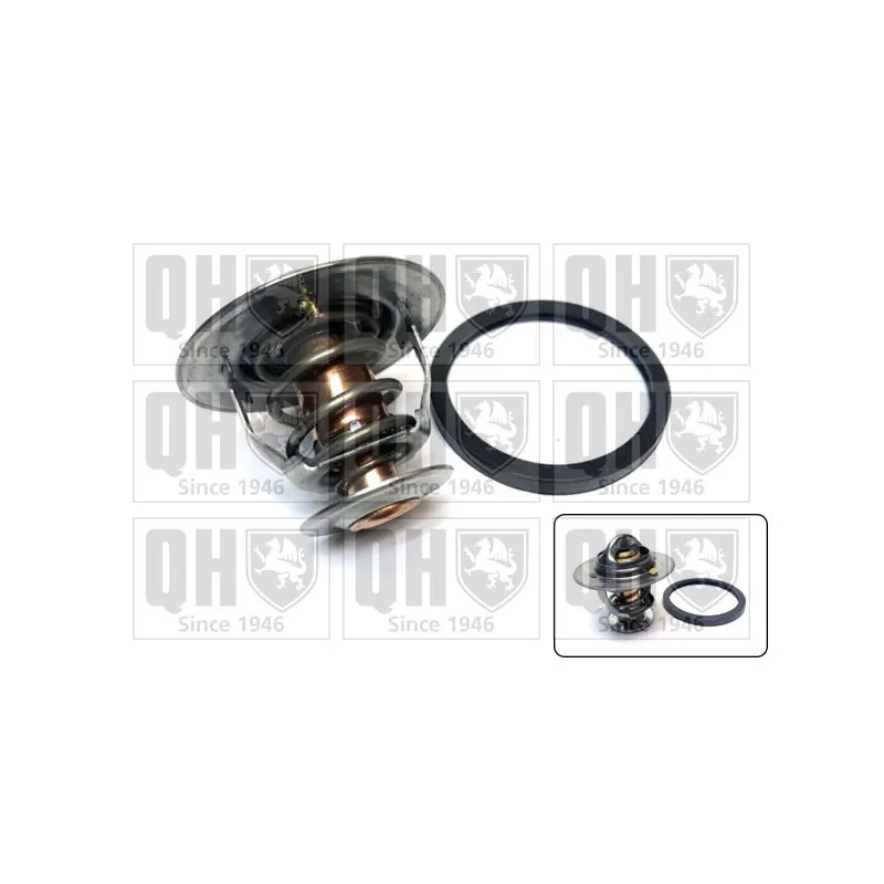 Thermostat d'eau QUINTON HAZELL QTH104K