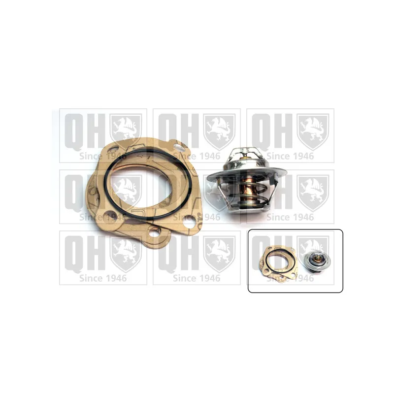 Thermostat d'eau QUINTON HAZELL QTH105K